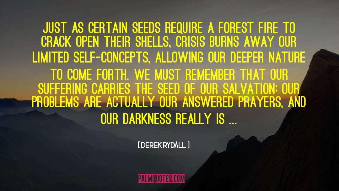 Derek Rydall Quotes: Just as certain seeds require