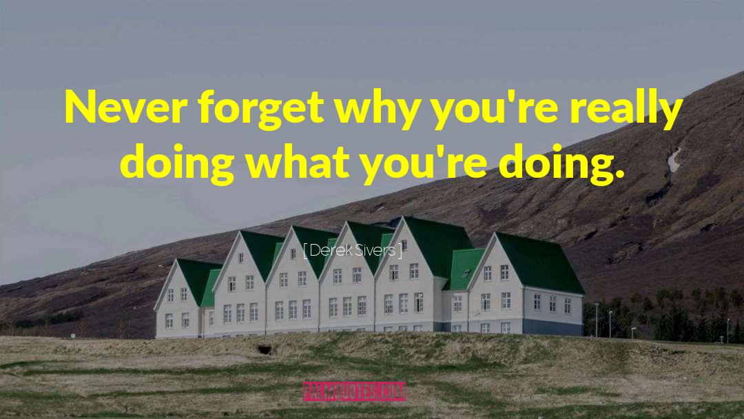 Derek Sivers Quotes: Never forget why you're really