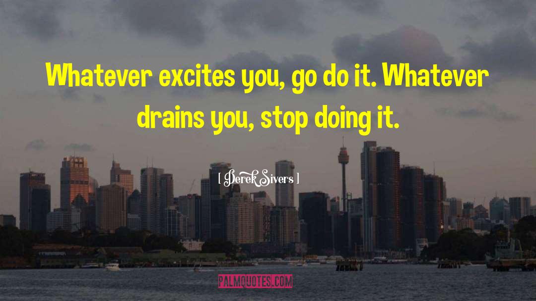 Derek Sivers Quotes: Whatever excites you, go do