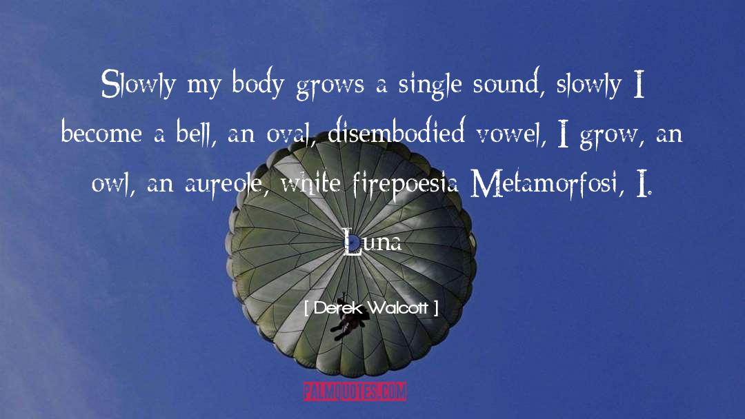 Derek Walcott Quotes: Slowly my body grows a