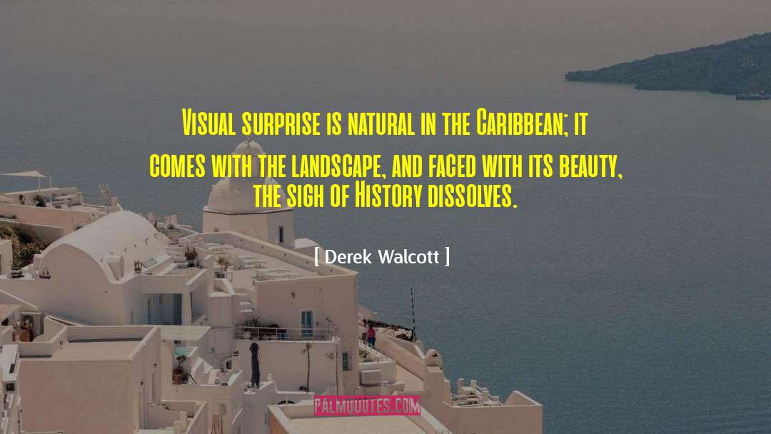 Derek Walcott Quotes: Visual surprise is natural in