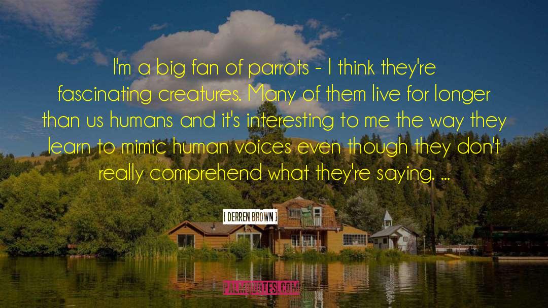 Derren Brown Quotes: I'm a big fan of