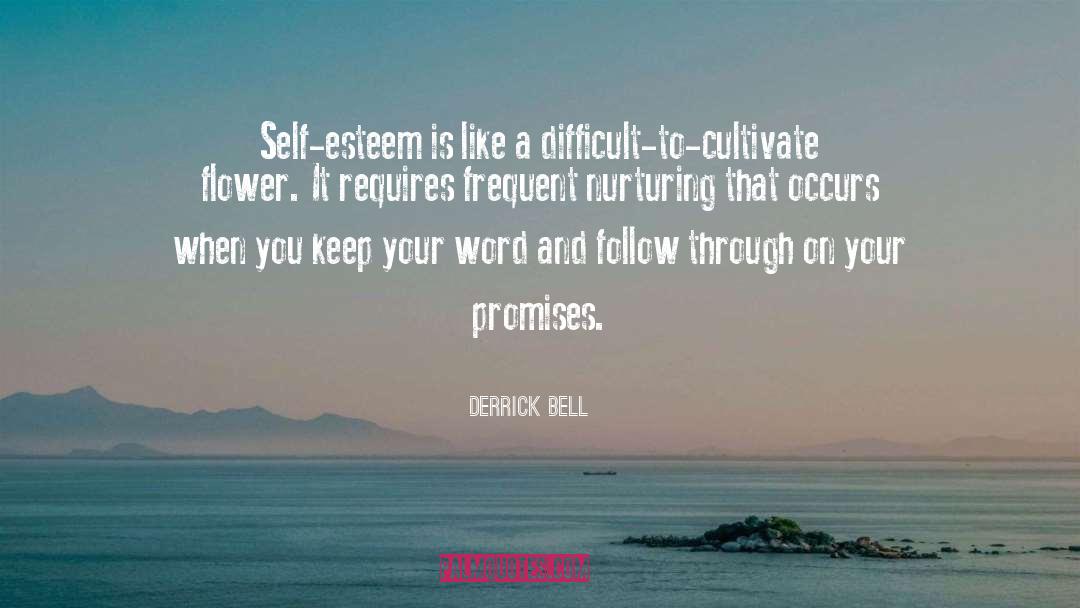 Derrick Bell Quotes: Self-esteem is like a difficult-to-cultivate