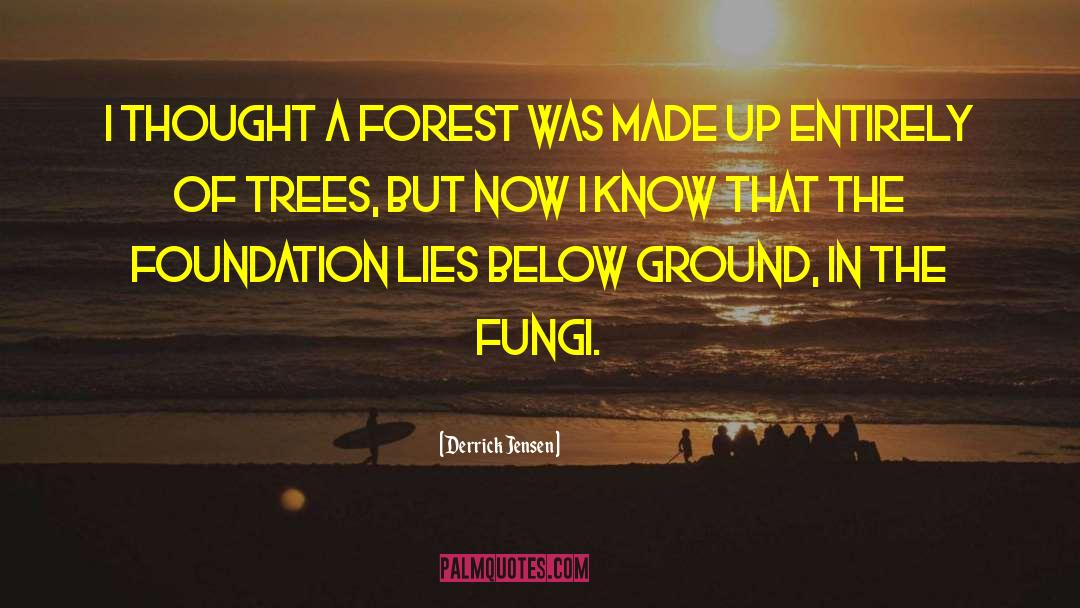 Derrick Jensen Quotes: I thought a forest was