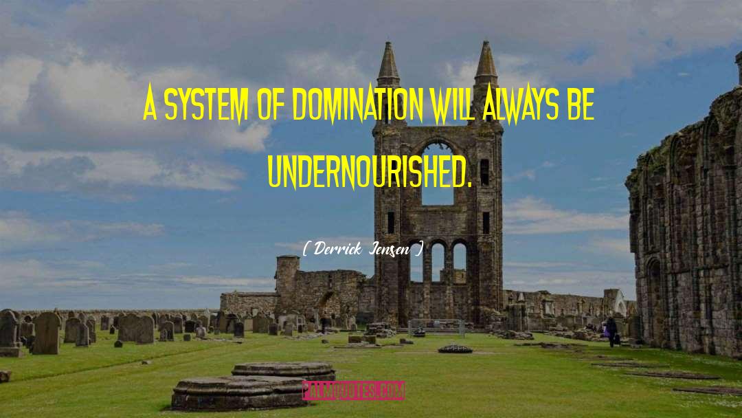 Derrick Jensen Quotes: A system of domination will