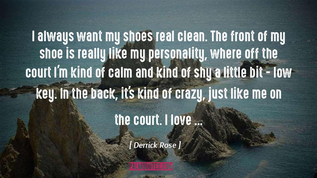 Derrick Rose Quotes: I always want my shoes