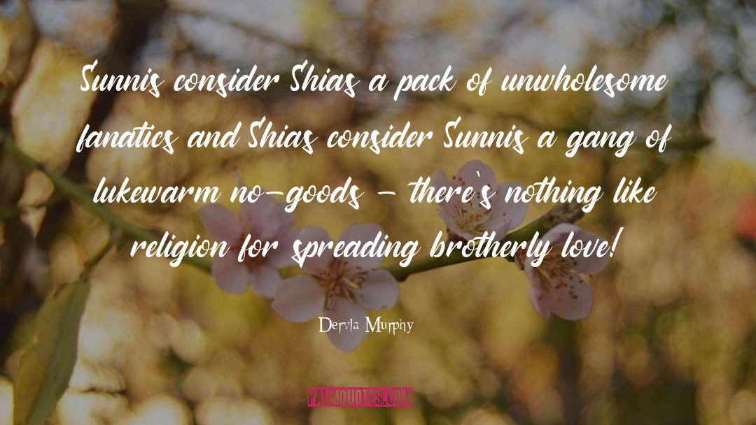 Dervla Murphy Quotes: Sunnis consider Shias a pack