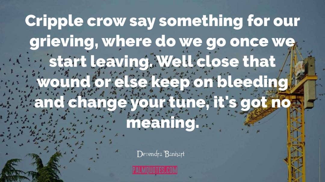Devendra Banhart Quotes: Cripple crow say something for