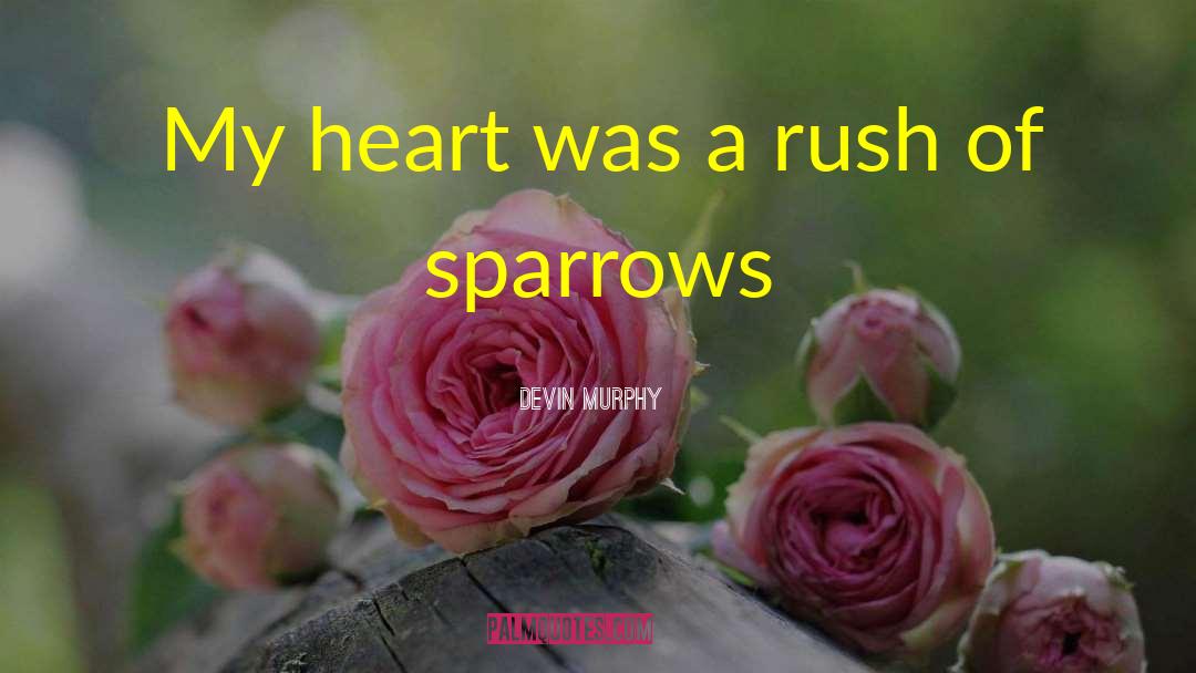 Devin Murphy Quotes: My heart was a rush