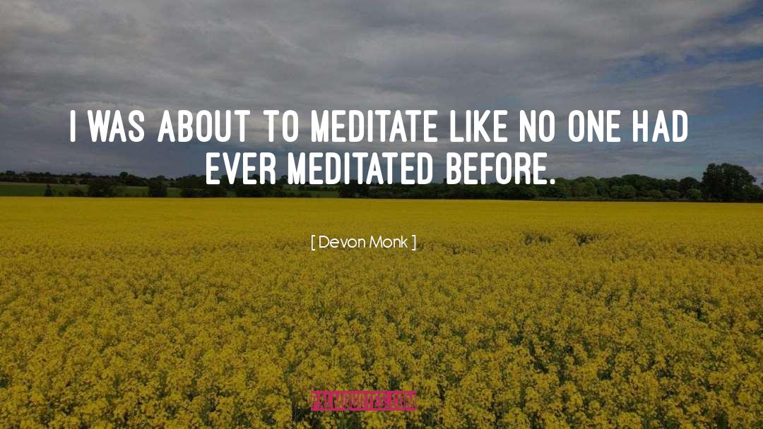 Devon Monk Quotes: I was about to meditate