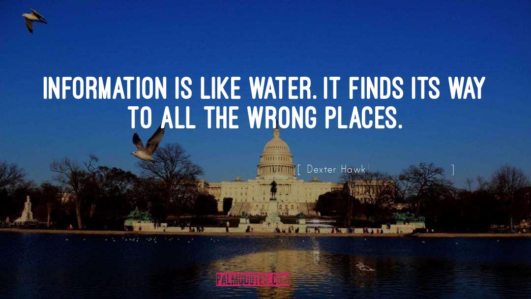 Dexter Hawk Quotes: Information is like water. It
