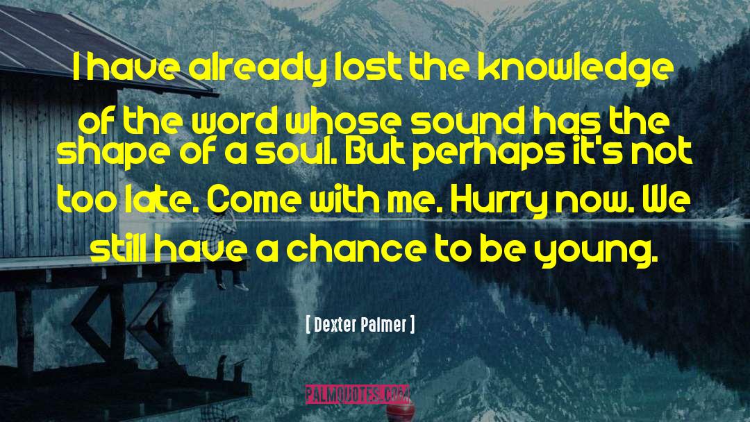 Dexter Palmer Quotes: I have already lost the