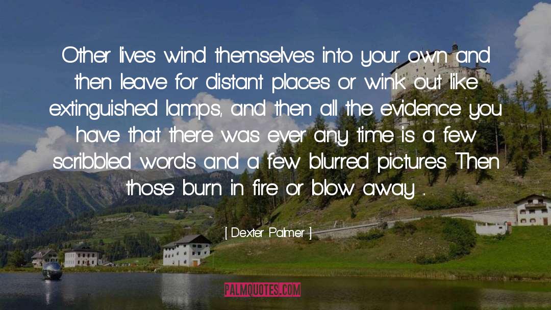 Dexter Palmer Quotes: Other lives wind themselves into