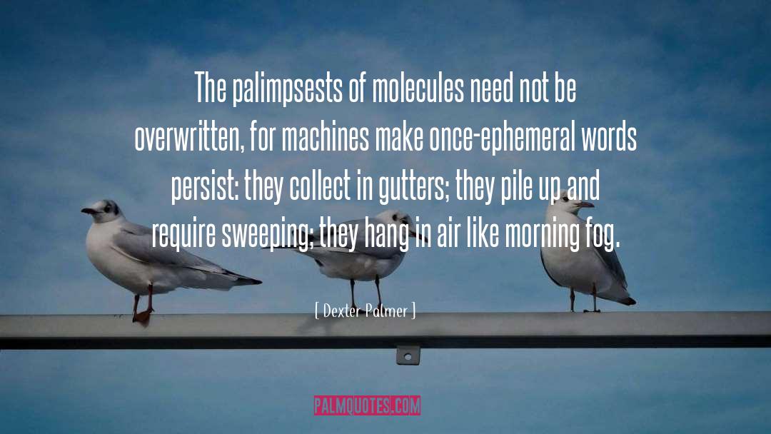 Dexter Palmer Quotes: The palimpsests of molecules need