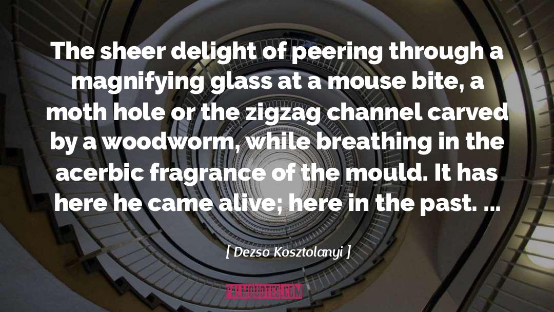 Dezso Kosztolanyi Quotes: The sheer delight of peering