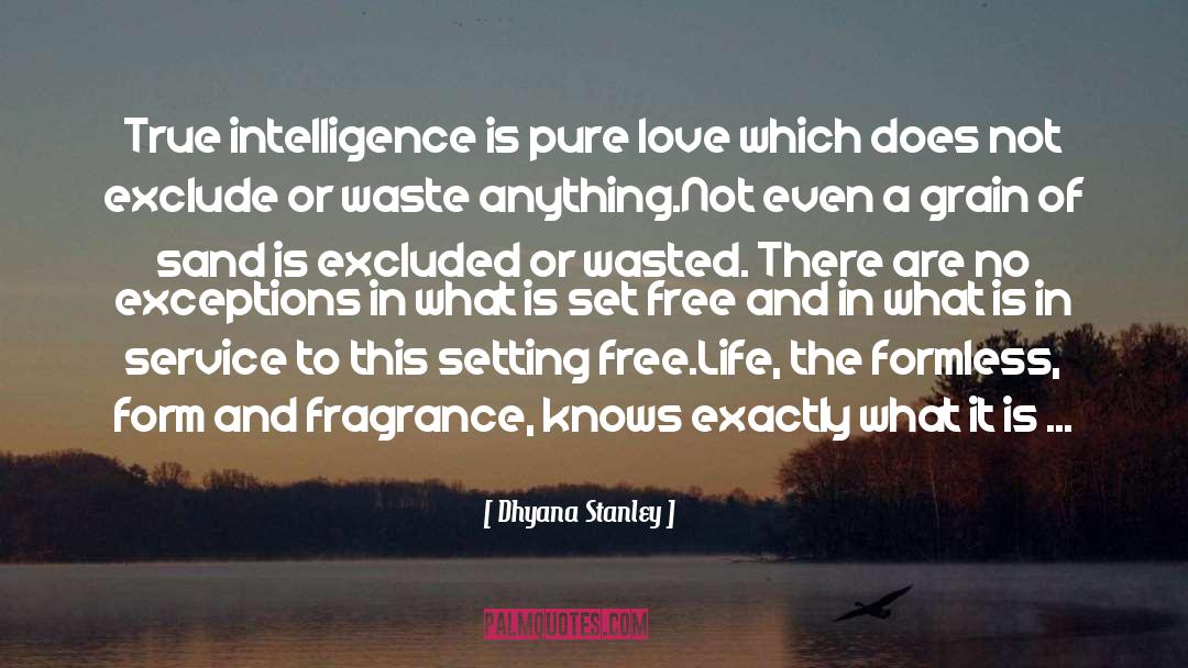 Dhyana Stanley Quotes: True intelligence is pure love