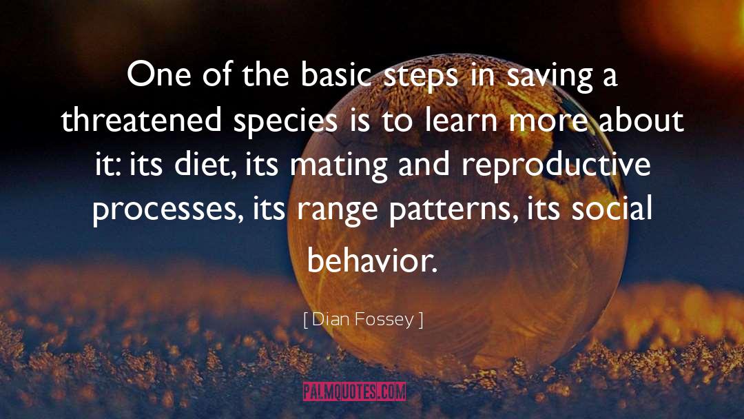 Dian Fossey Quotes: One of the basic steps