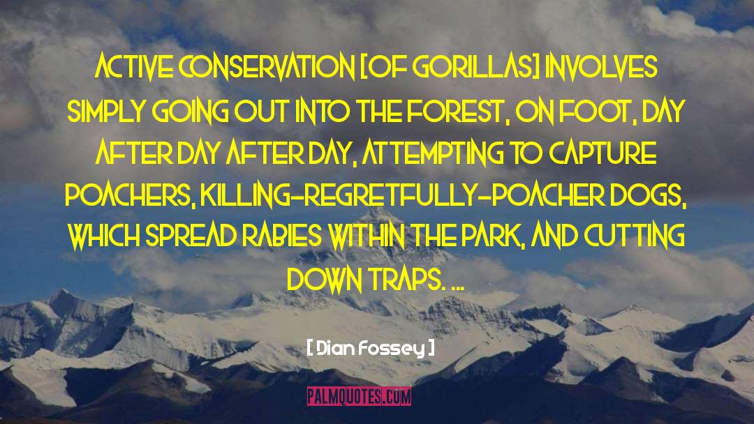 Dian Fossey Quotes: Active conservation [of gorillas] involves