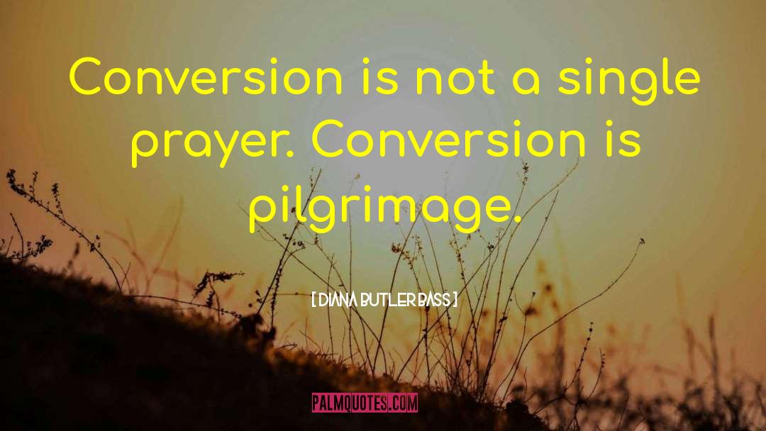 Diana Butler Bass Quotes: Conversion is not a single