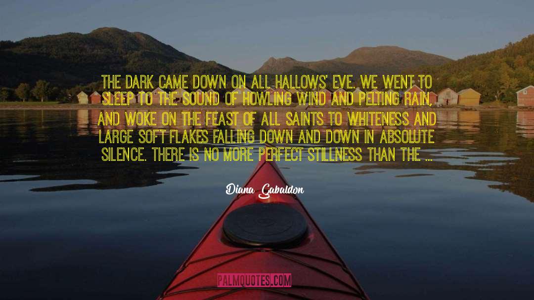 Diana Gabaldon Quotes: The dark came down on