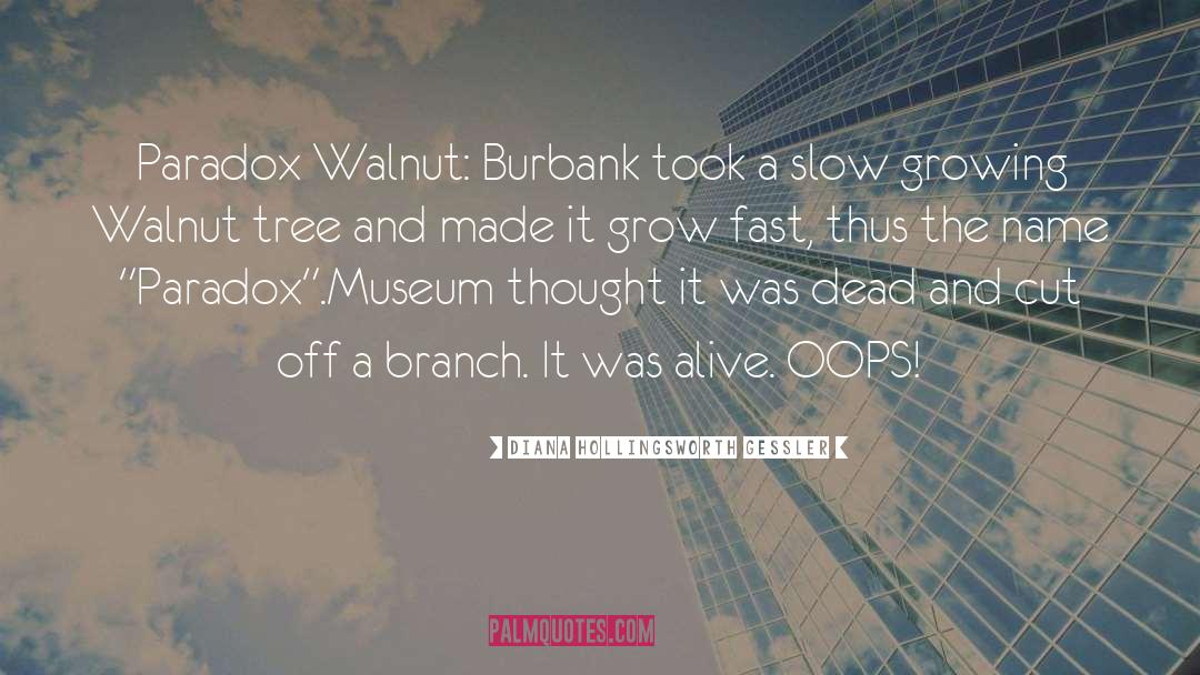 Diana Hollingsworth Gessler Quotes: Paradox Walnut: Burbank took a