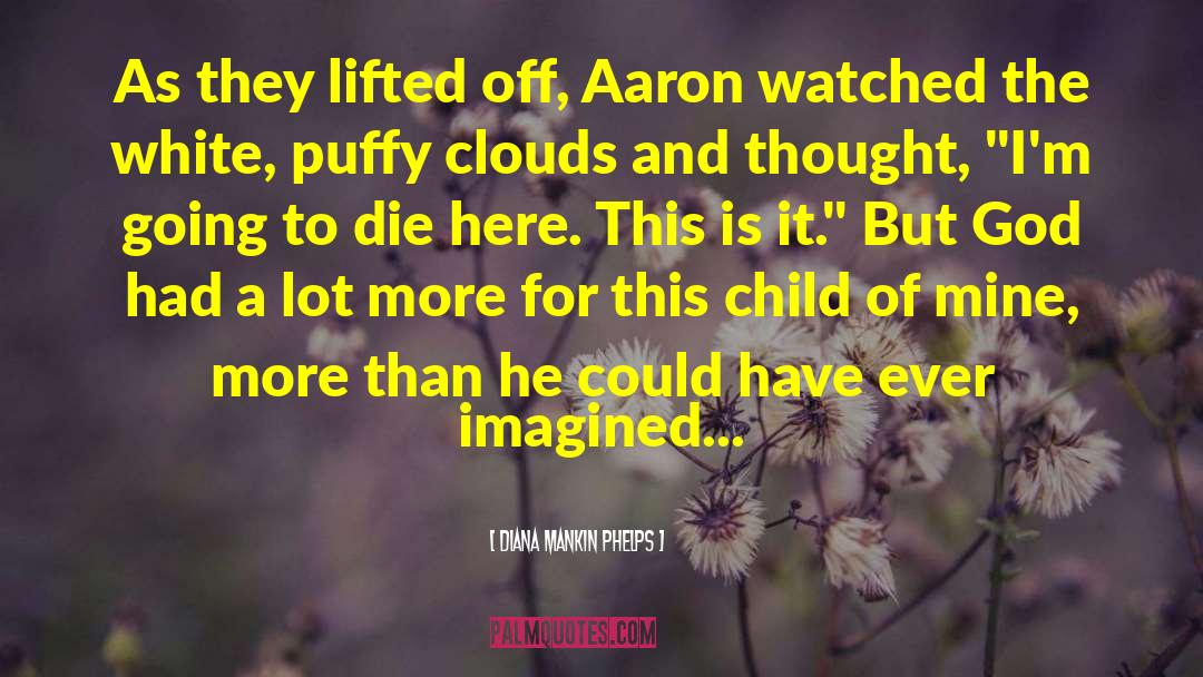 Diana Mankin Phelps Quotes: As they lifted off, Aaron