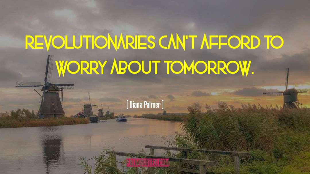 Diana Palmer Quotes: Revolutionaries can't afford to worry