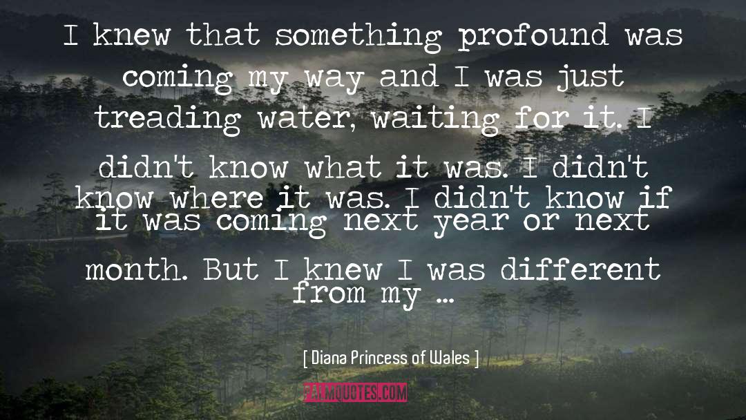 Diana Princess Of Wales Quotes: I knew that something profound