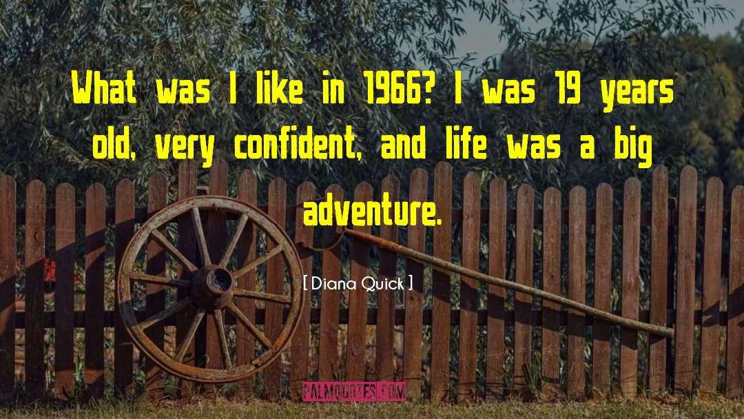 Diana Quick Quotes: What was I like in