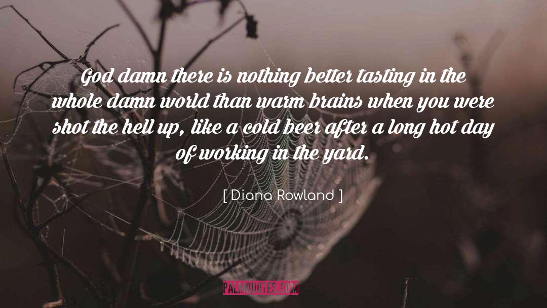 Diana Rowland Quotes: God damn there is nothing