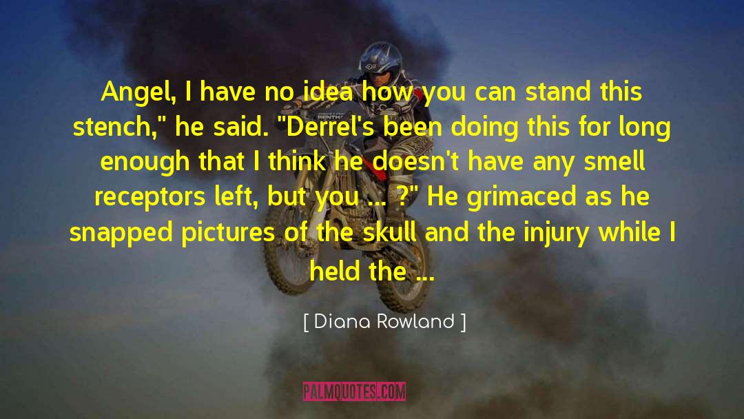 Diana Rowland Quotes: Angel, I have no idea