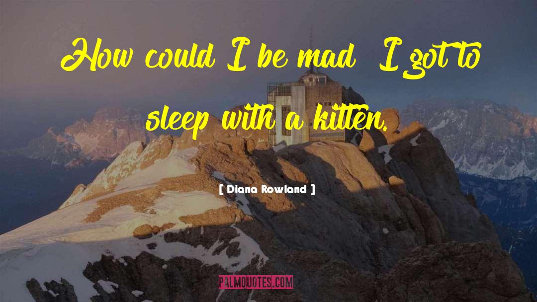 Diana Rowland Quotes: How could I be mad?