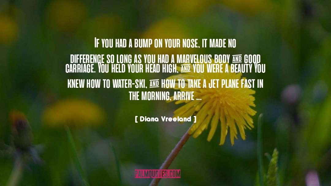 Diana Vreeland Quotes: If you had a bump