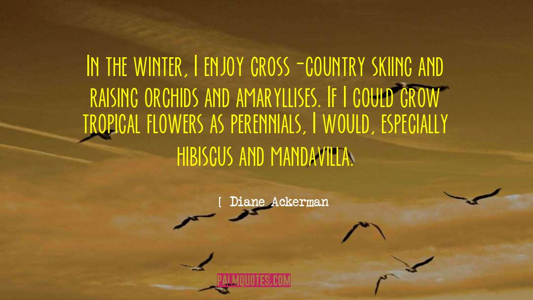 Diane Ackerman Quotes: In the winter, I enjoy