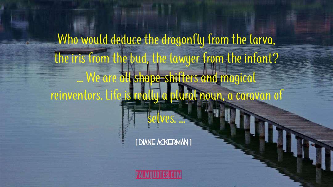 Diane Ackerman Quotes: Who would deduce the dragonfly