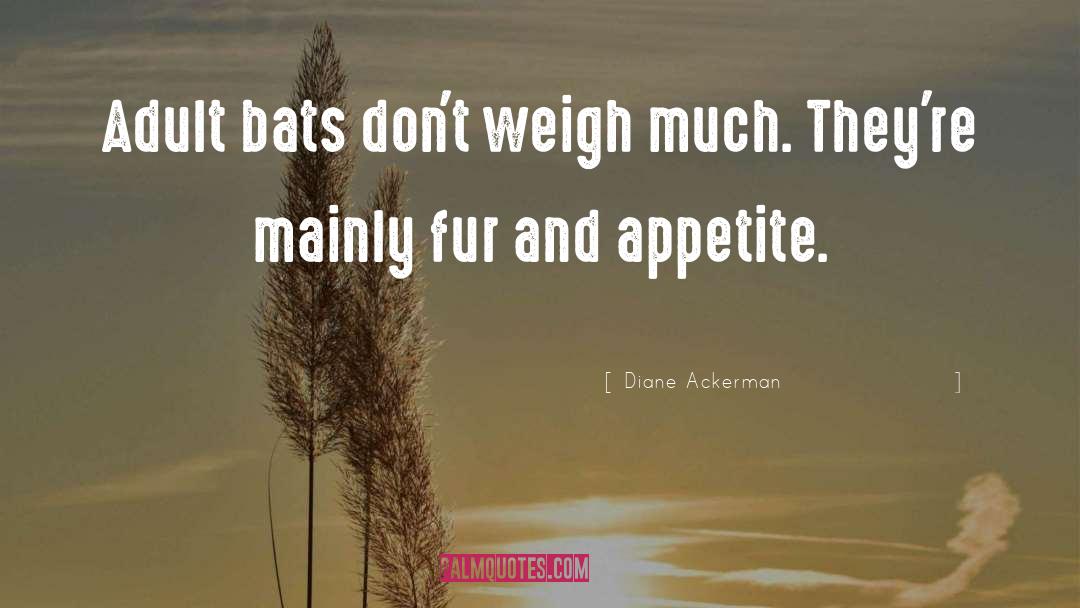 Diane Ackerman Quotes: Adult bats don't weigh much.