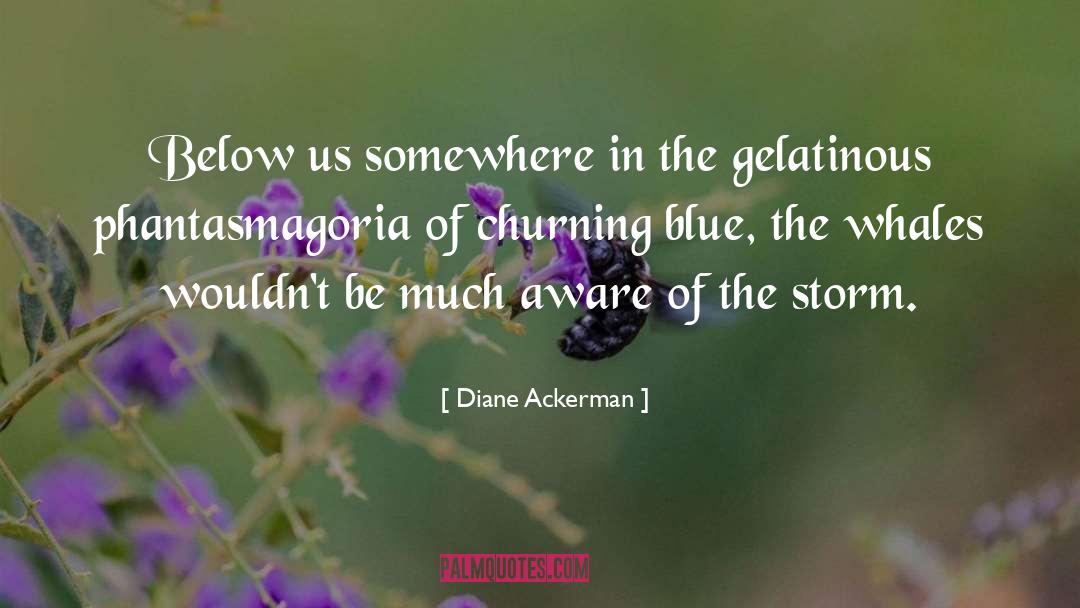 Diane Ackerman Quotes: Below us somewhere in the
