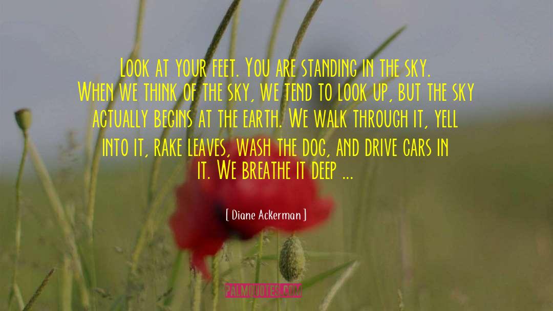 Diane Ackerman Quotes: Look at your feet. You