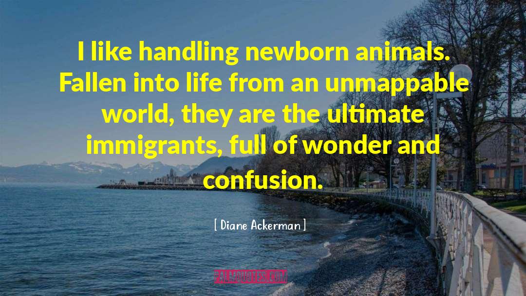Diane Ackerman Quotes: I like handling newborn animals.