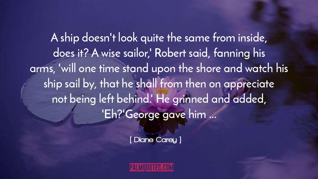 Diane Carey Quotes: A ship doesn't look quite