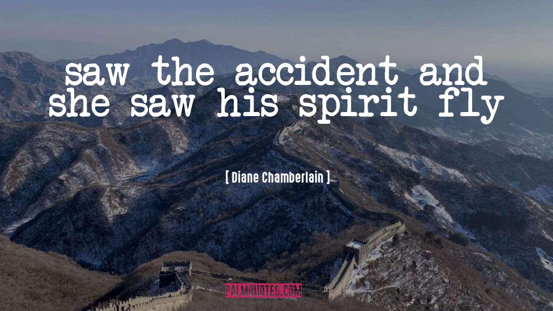 Diane Chamberlain Quotes: saw the accident and she