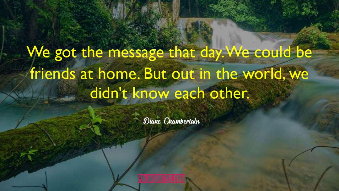 Diane Chamberlain Quotes: We got the message that