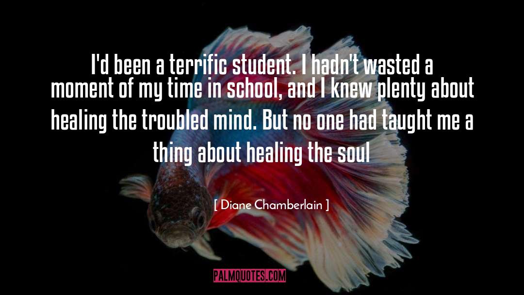 Diane Chamberlain Quotes: I'd been a terrific student.