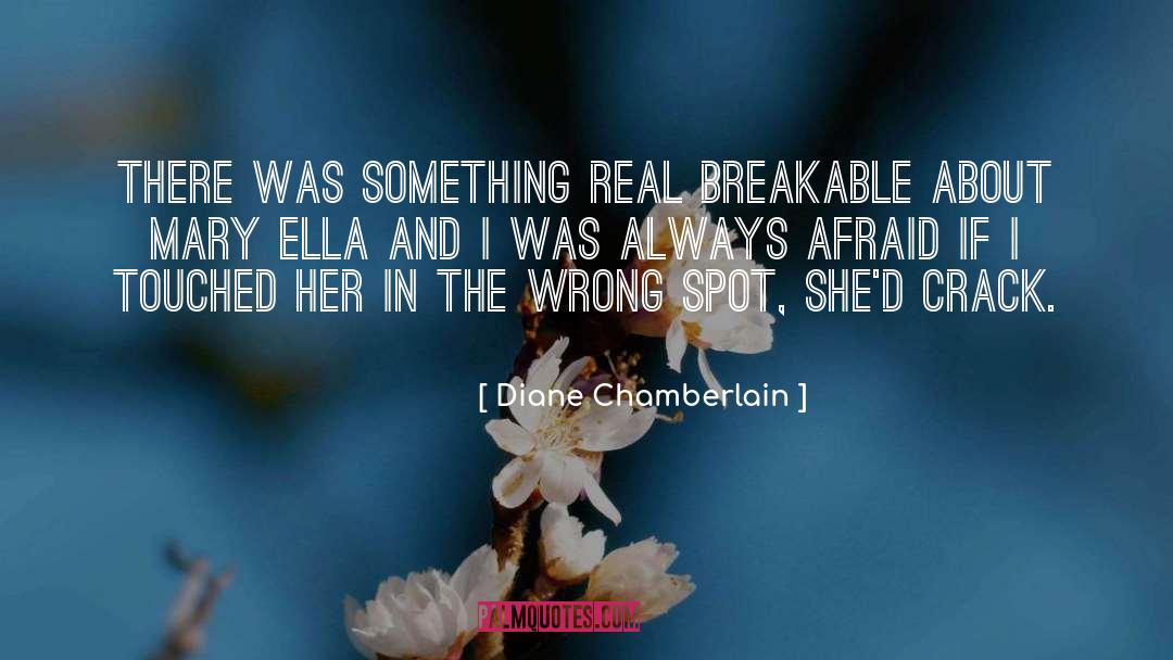 Diane Chamberlain Quotes: There was something real breakable