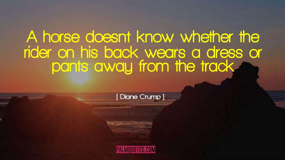 Diane Crump Quotes: A horse doesn't know whether