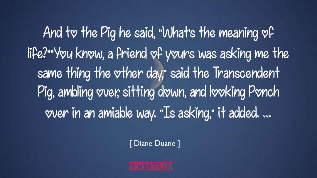 Diane Duane Quotes: And to the Pig he