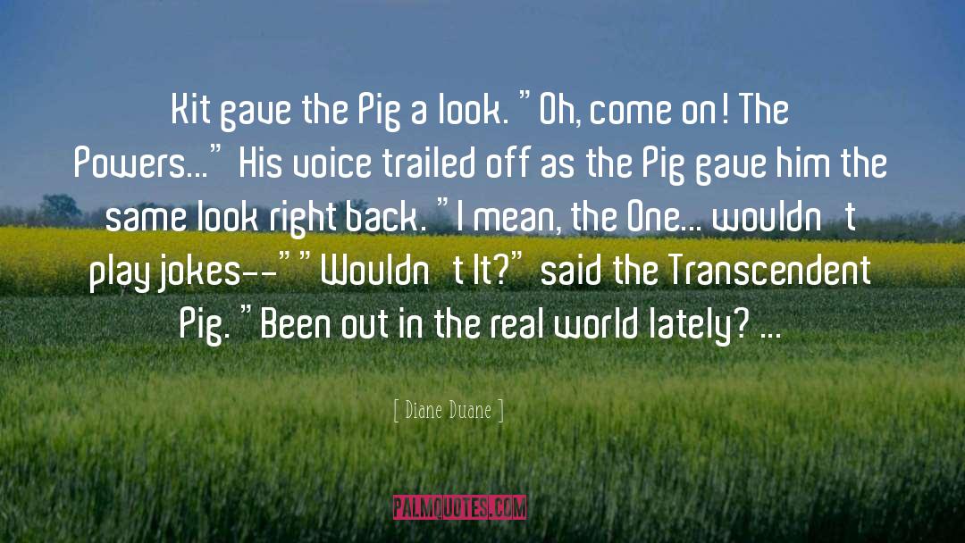 Diane Duane Quotes: Kit gave the Pig a