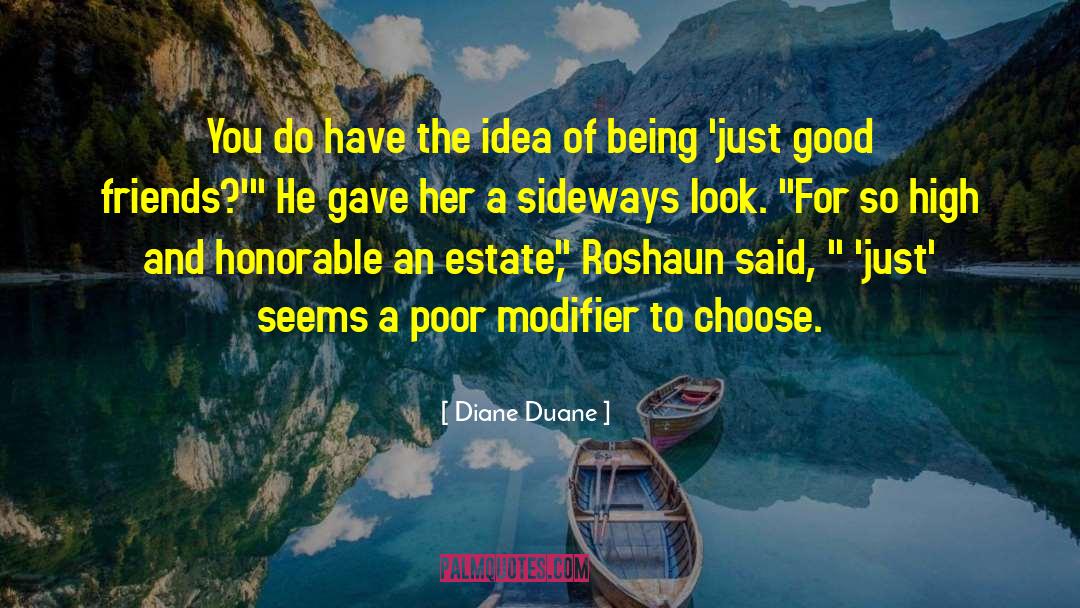 Diane Duane Quotes: You do have the idea