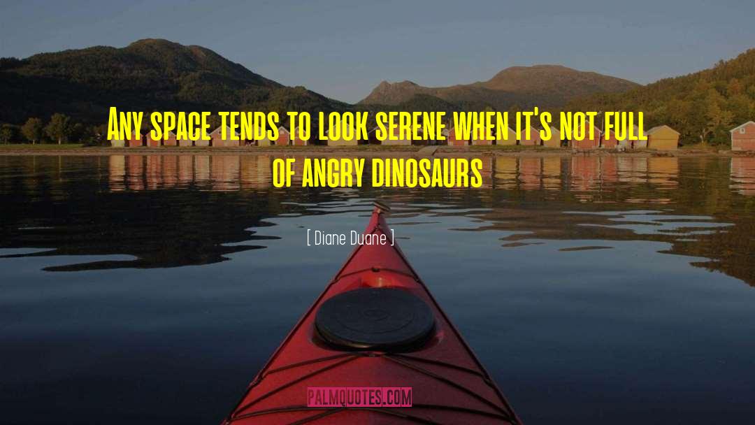 Diane Duane Quotes: Any space tends to look