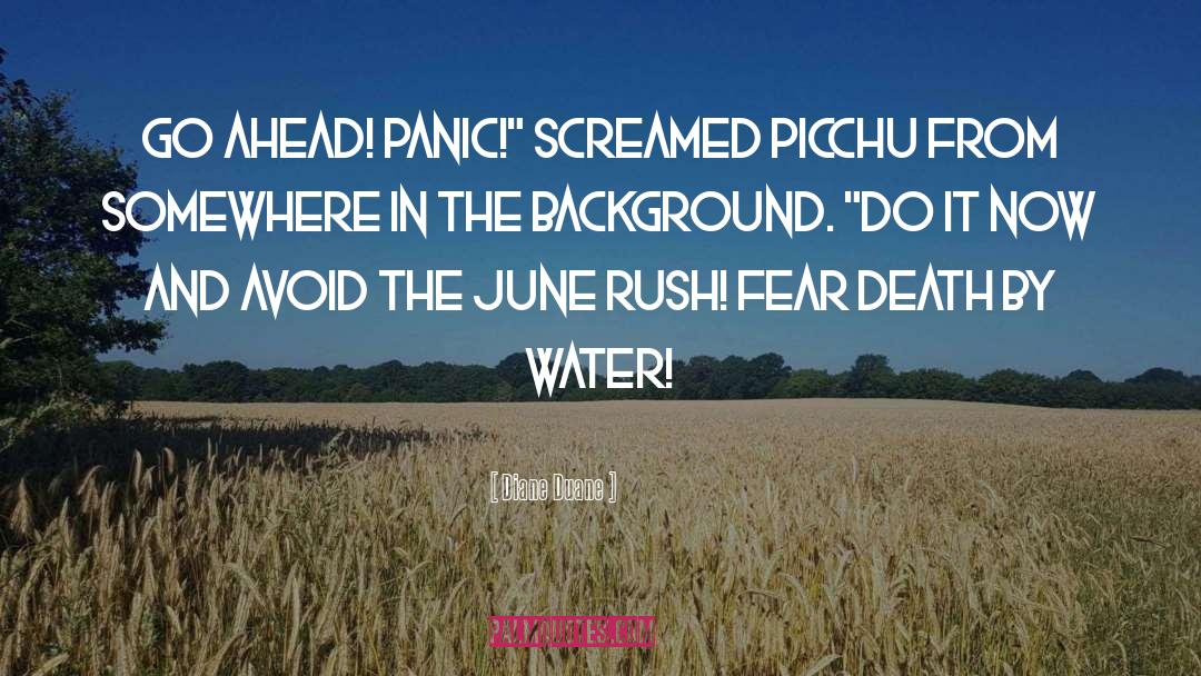 Diane Duane Quotes: Go ahead! Panic!